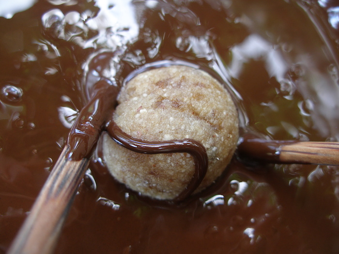 Chocolate Hazelnut Truffles | HOMEGROWN KITCHEN