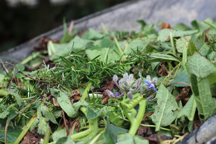 Fragrant Garden Mulch
