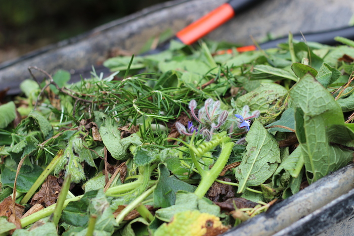 Fragrant Garden Mulch