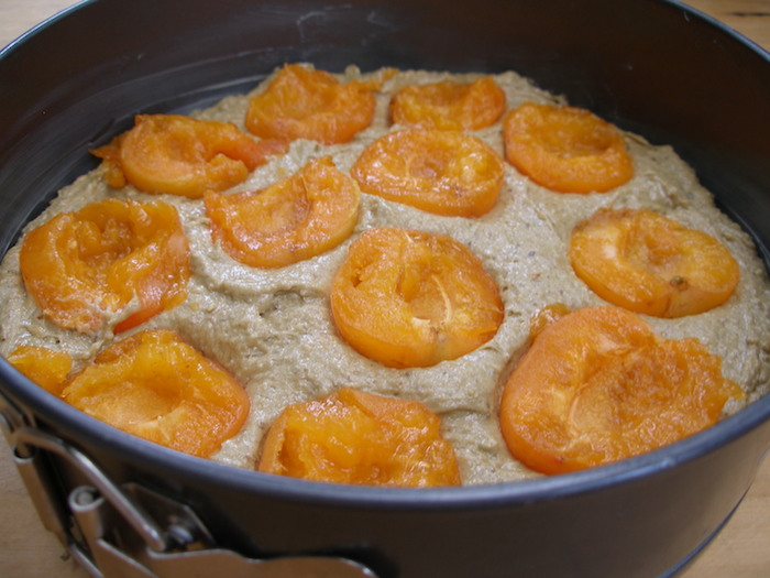 Apricot Madeira Cake | HOMEGROWN KITCHEN