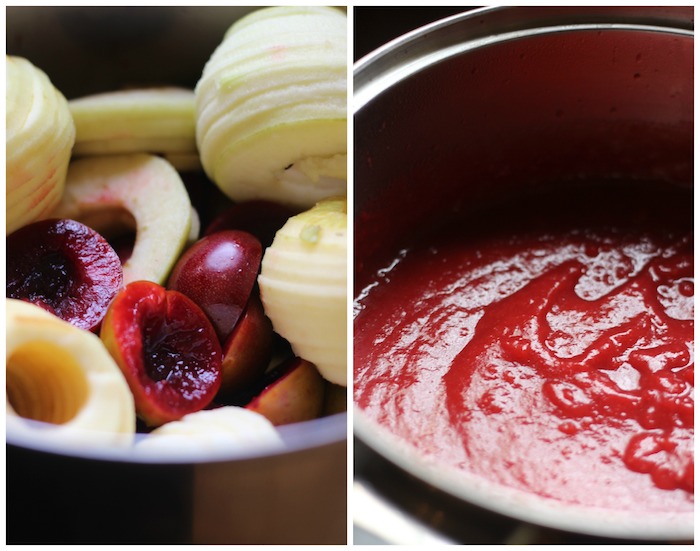 Fruit Nut Leather | HOMEGROWN KITCHEN