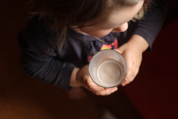 Chocolate Almond Milk | HOMEGROWN KITCHEN