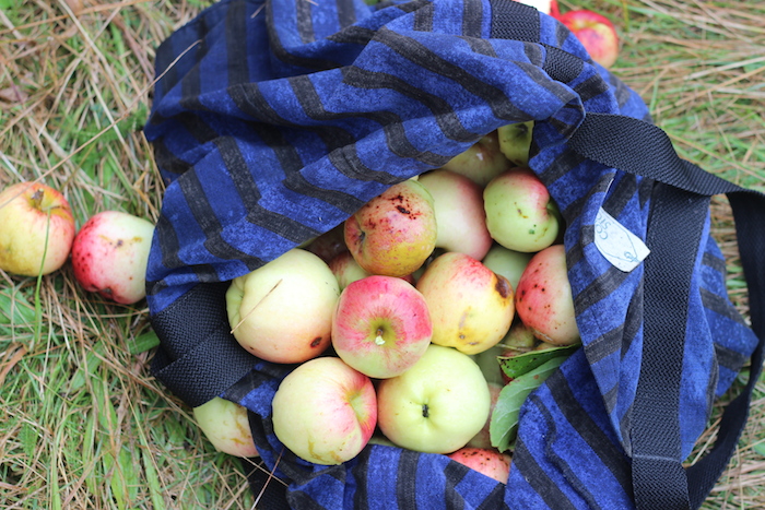 Fruit Nut Leather | HOMEGROWN KITCHEN