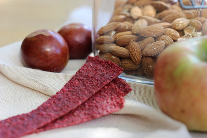 Fruit Nut Leather | HOMEGROWN KITCHEN