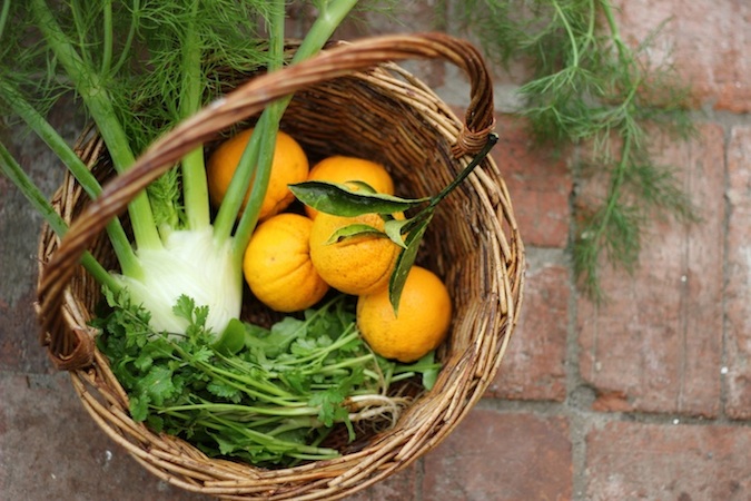 Garden harvest / Homegrown Kitchen