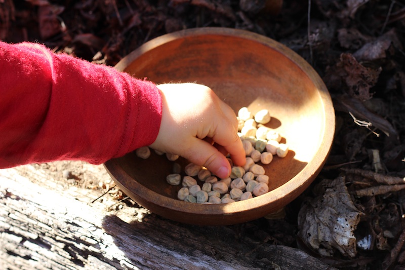 Sowing peas / Homegrown Kitchen