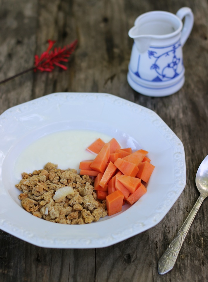 Coconut & Vanilla Granola / Homegrown Kitchen
