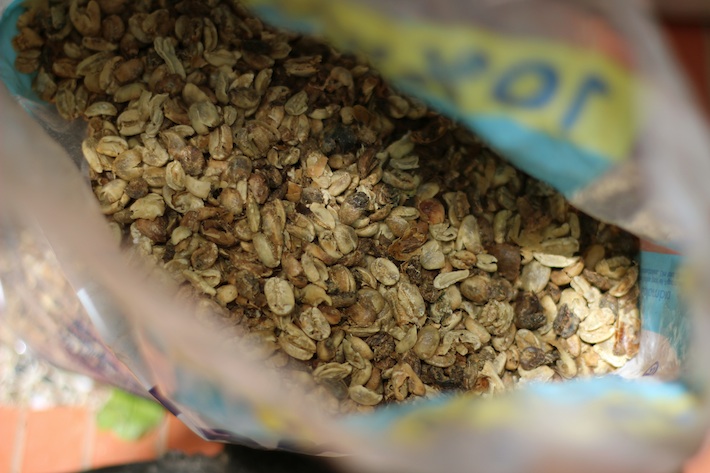 Roasting Coffee / Homegrown Kitchen