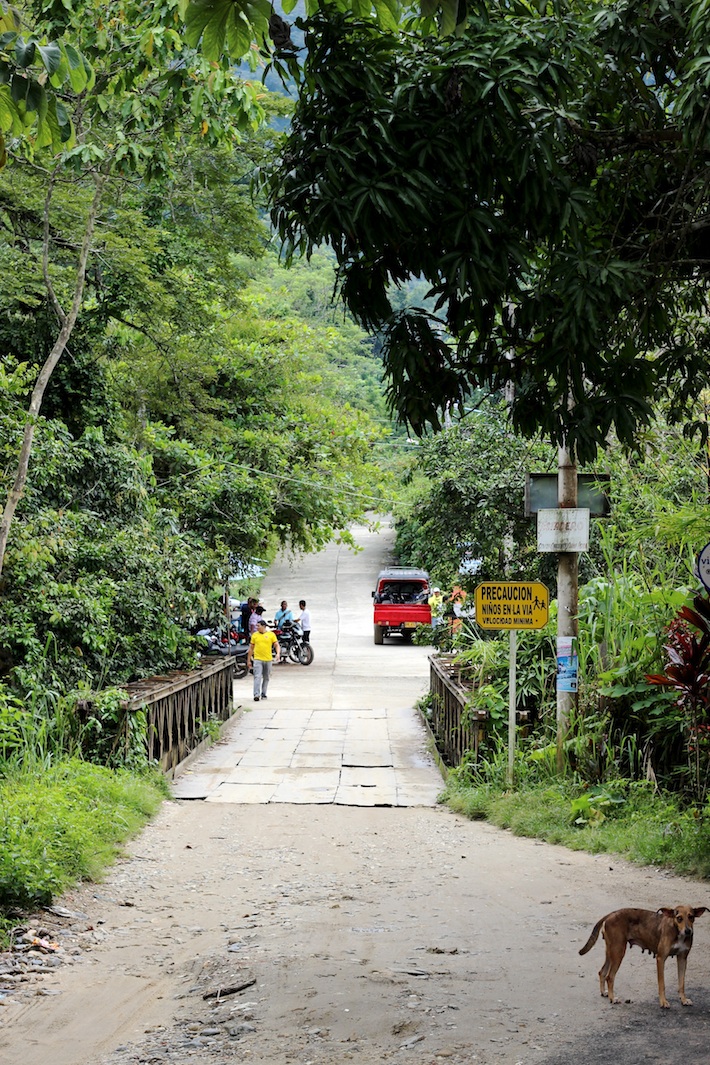 Minca, Santa Marta, Colombia / Homegrown Kitchen