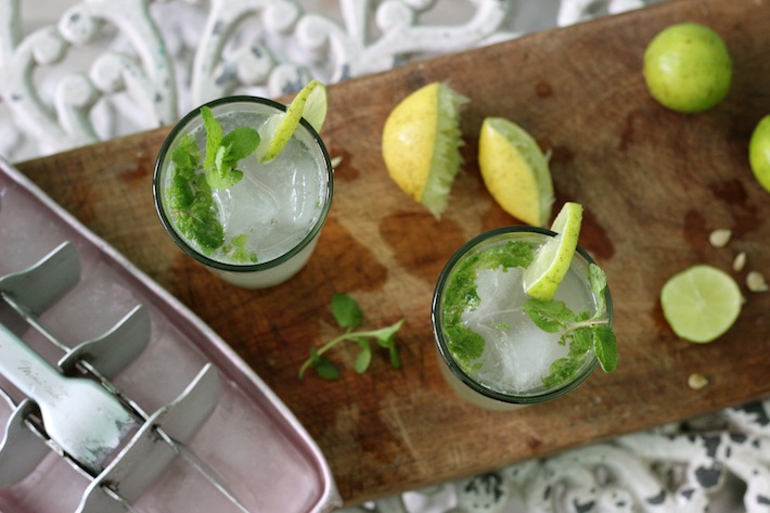 Mojito Cubano + Photos of Cuba / Homegrown Kitchen