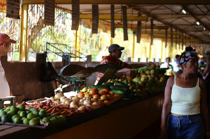 Mojito Cubano + Photos of Cuba / Homegrown Kitchen