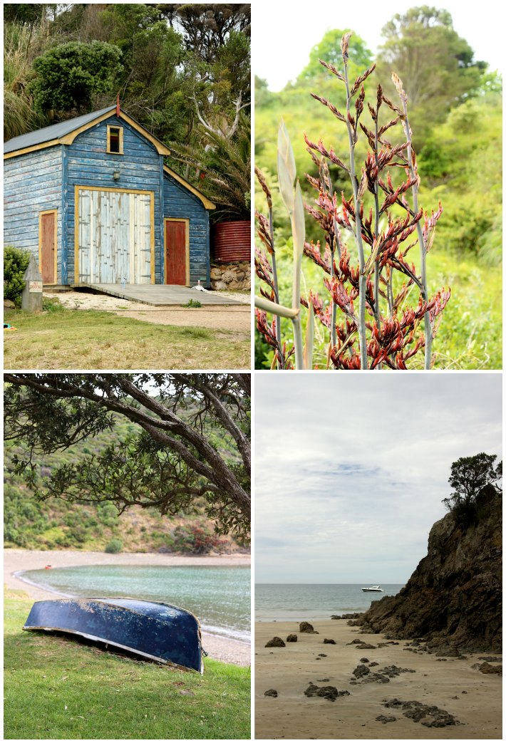 Waiheke Island | Homegrown Kitchen
