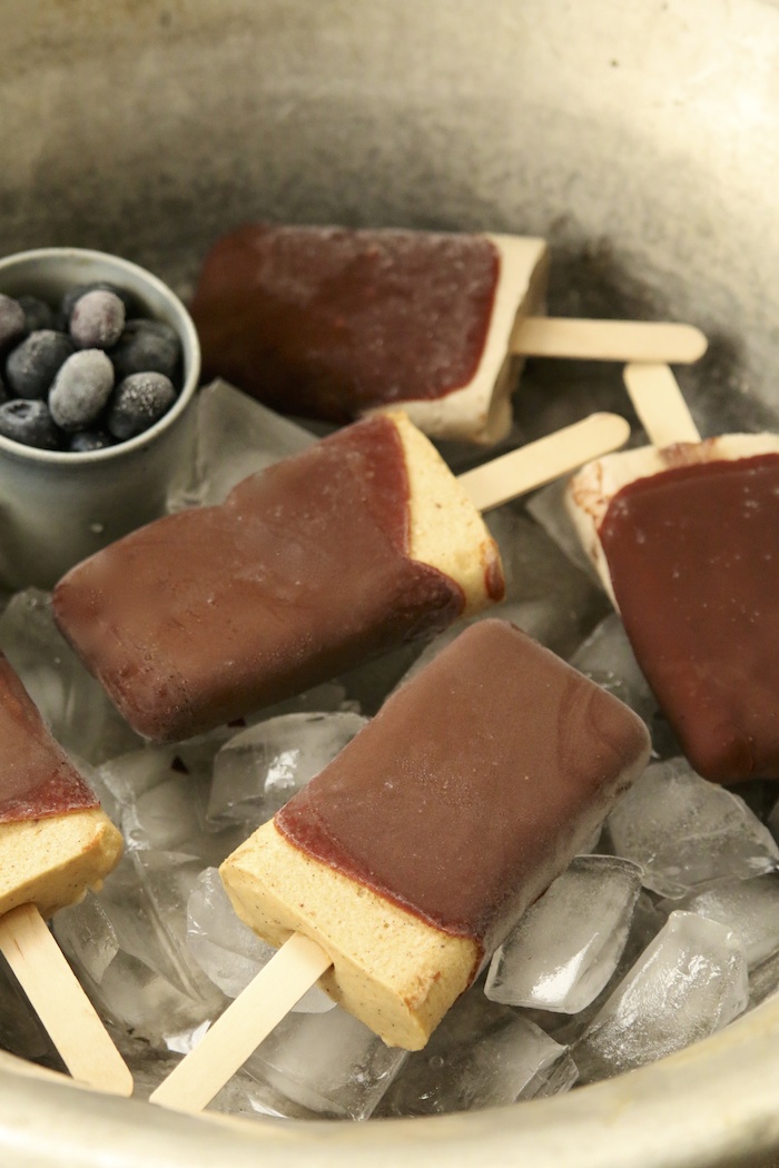 Blueberry Tip Ice Block | HOMEGROWN KITCHEN