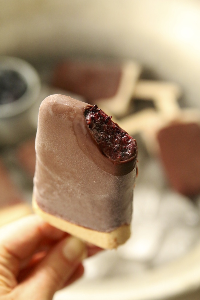 Blueberry Tip Ice Block | HOMEGROWN KITCHEN