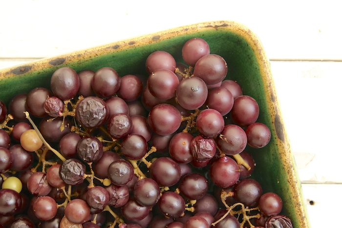 Slow-roasted Grape Syrup w/ coconut water snow | HOMEGROWN KITCHEN