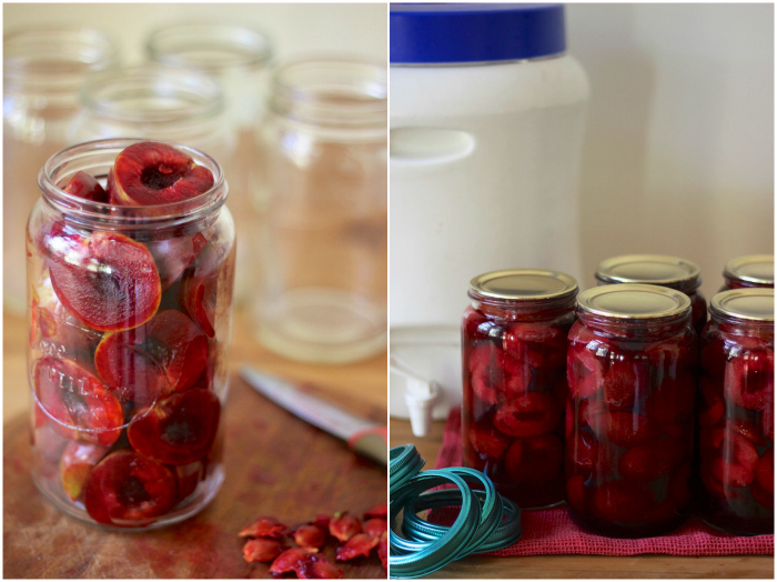 A Guide to Preserving the Harvest / HOMEGROWN KITCHEN