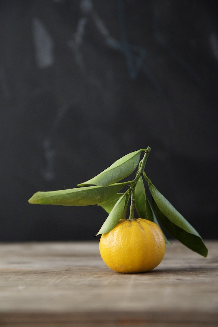 Valencia Orange & Honey Curd | HOMEGROWN KITCHEN