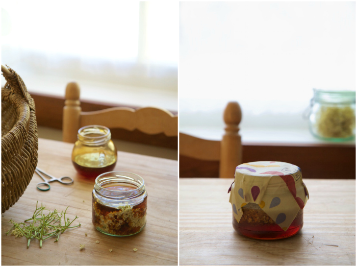 infuse honey Collage