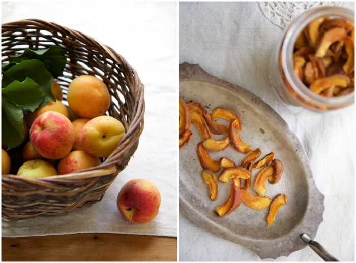 apricot collage