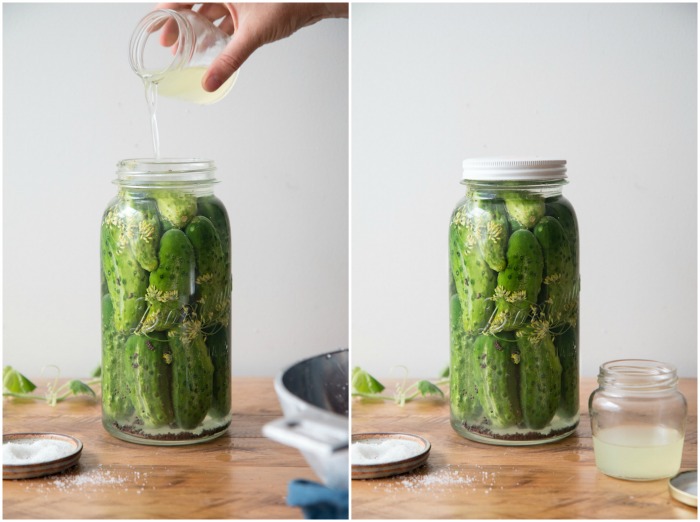 Probiotic Gherkins | HOMEGROWN KITCHEN