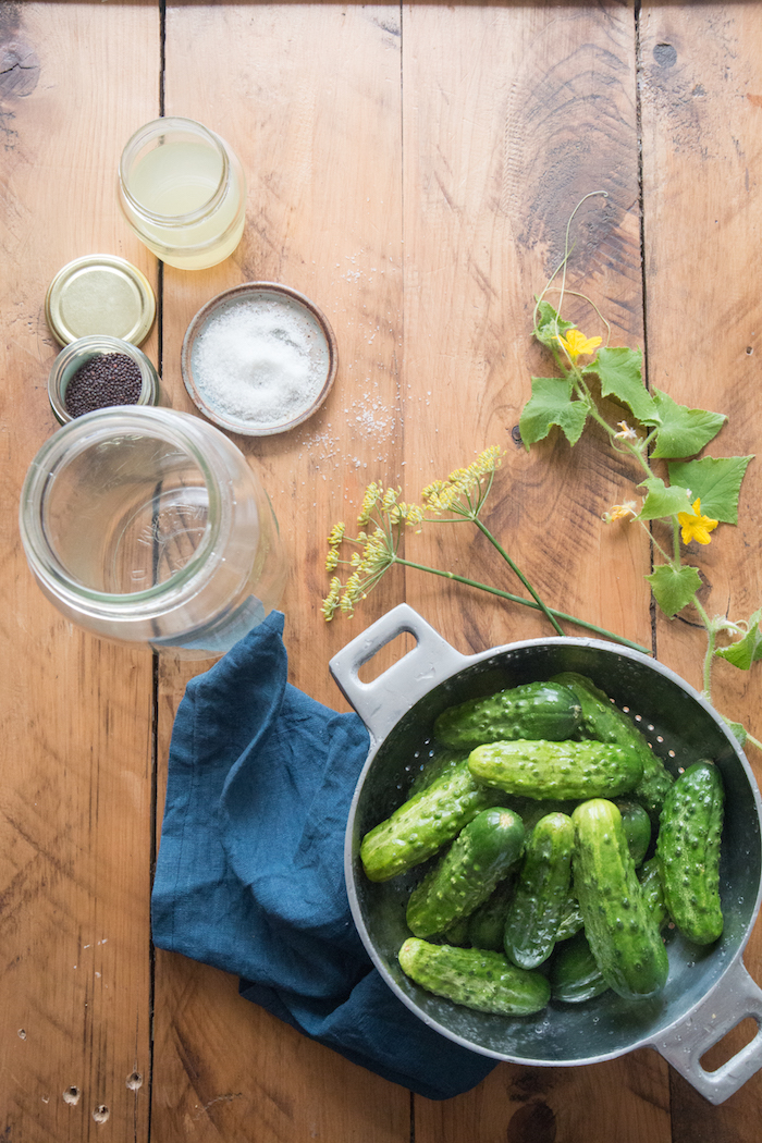 Probiotic Gherkins | HOMEGROWN KITCHEN