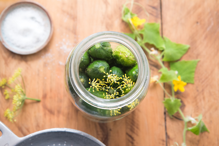 Probiotic Gherkins | HOMEGROWN KITCHEN