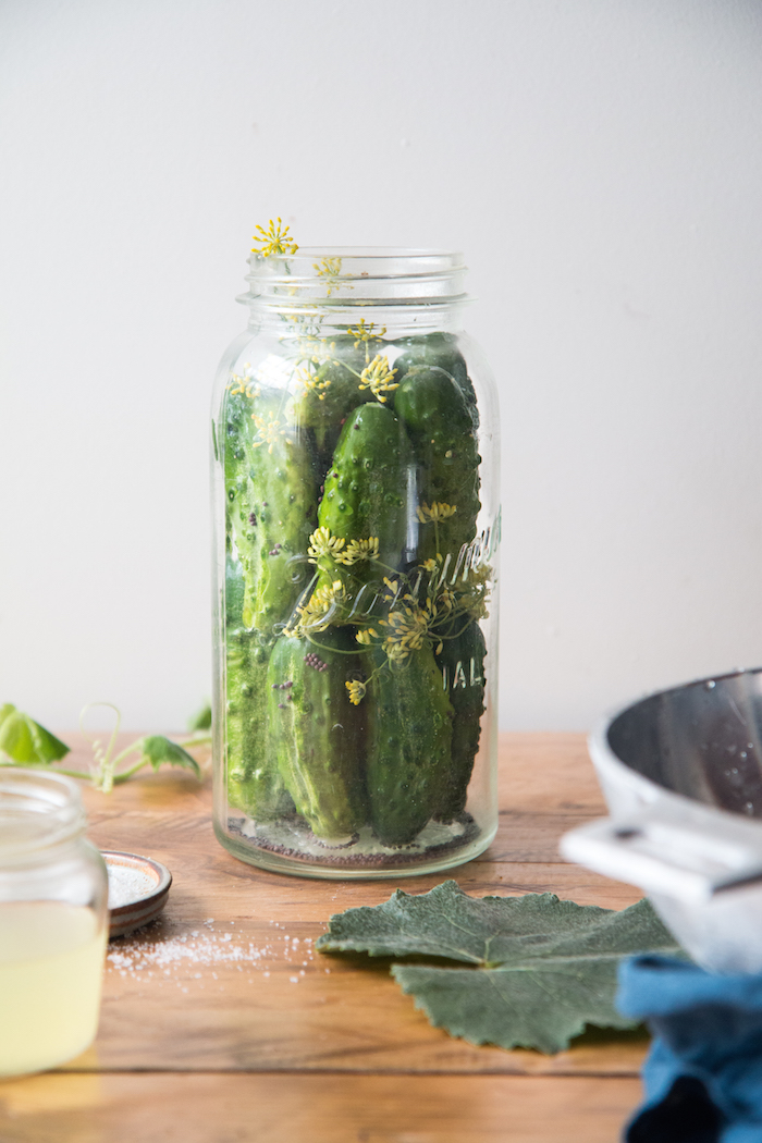 Probiotic Gherkins | HOMEGROWN KITCHEN