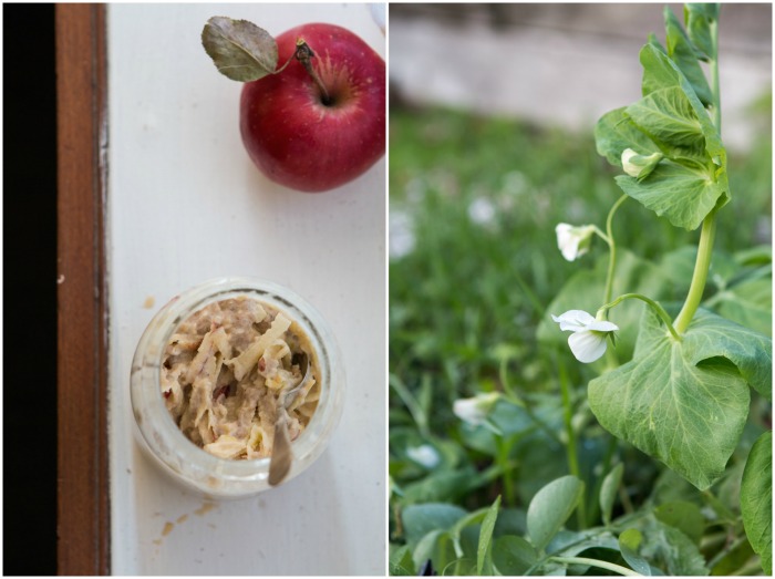 Chai-Spiced Bircher Muesli | HOMEGROWN KITCHEN