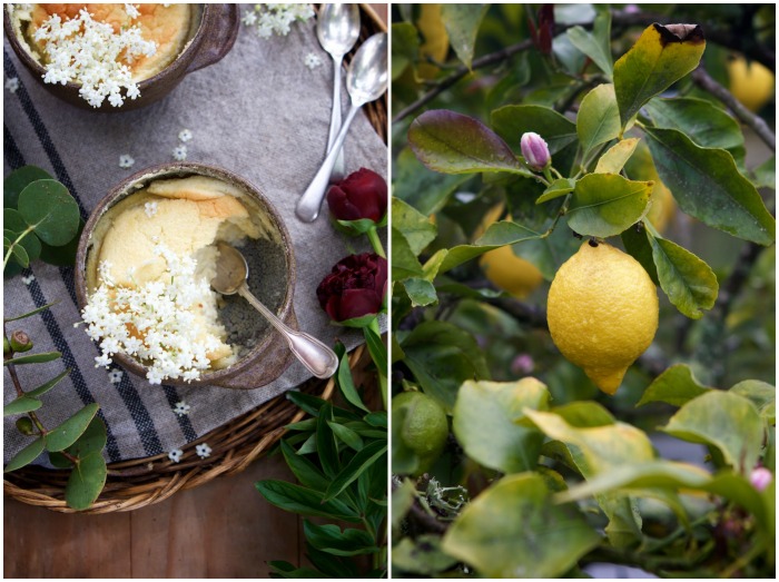 Lemon & Elderflower Honey Pudding | HOMEGROWN KITCHEN
