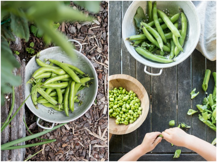 Super Green Broad Bean Falafel | HOMEGROWN KITCHEN